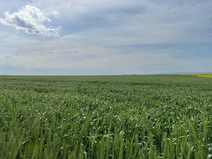 حقولنا – AGROVA