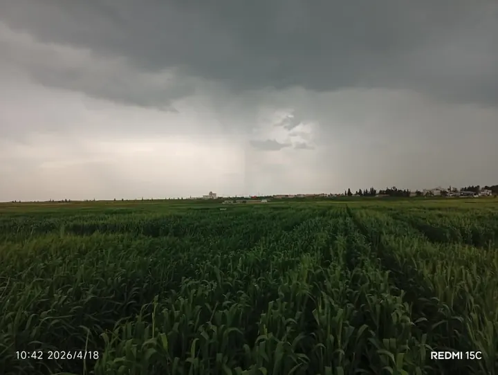 حقولنا – AGROVA